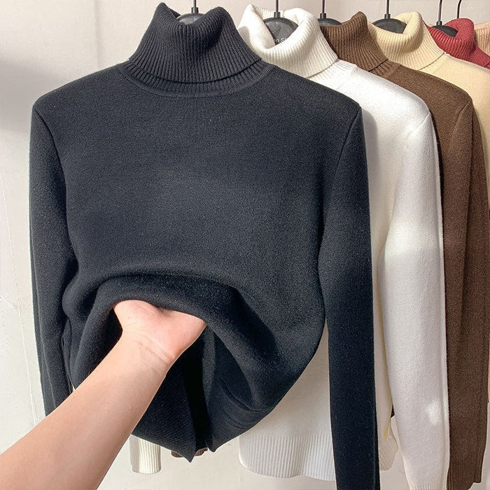 Elegant Turtle Neck Winter Sweater